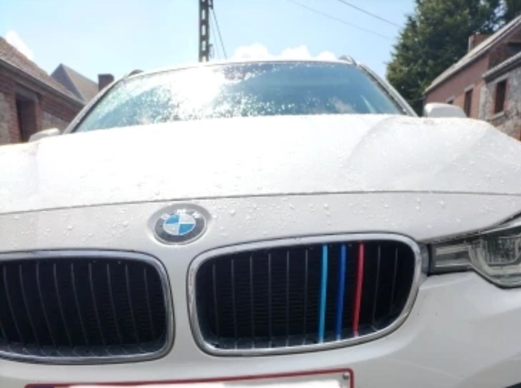BMW trikolora do masky pro F3x