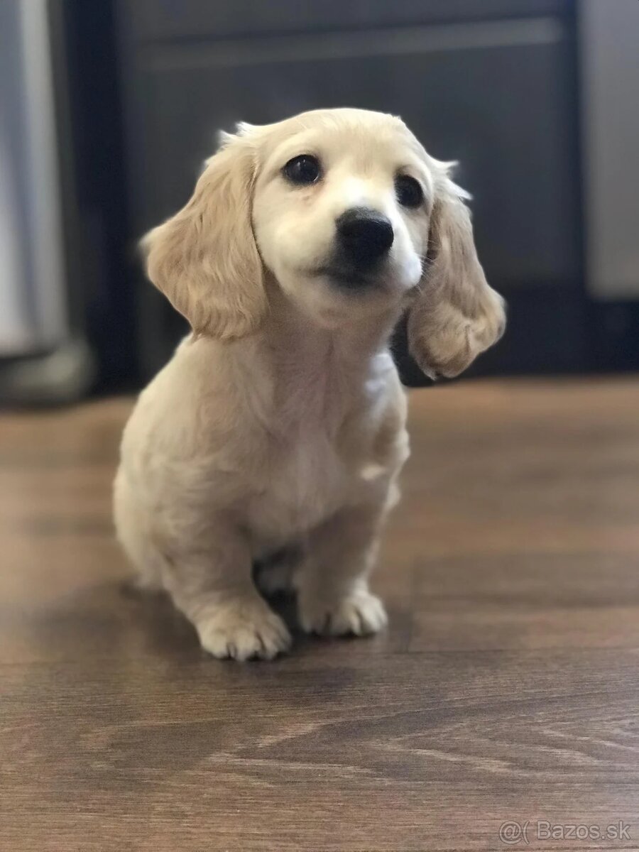 Dopyt