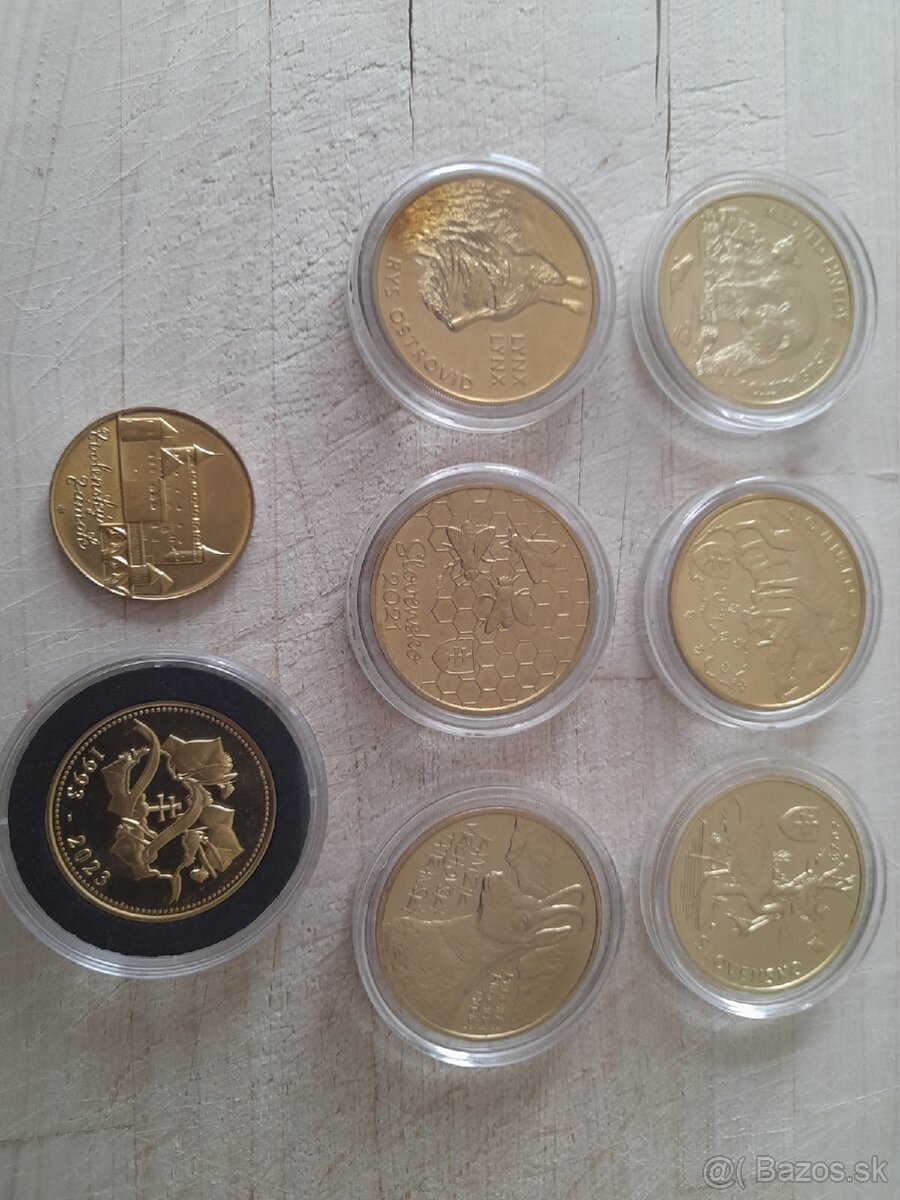 5EURO MINCE
