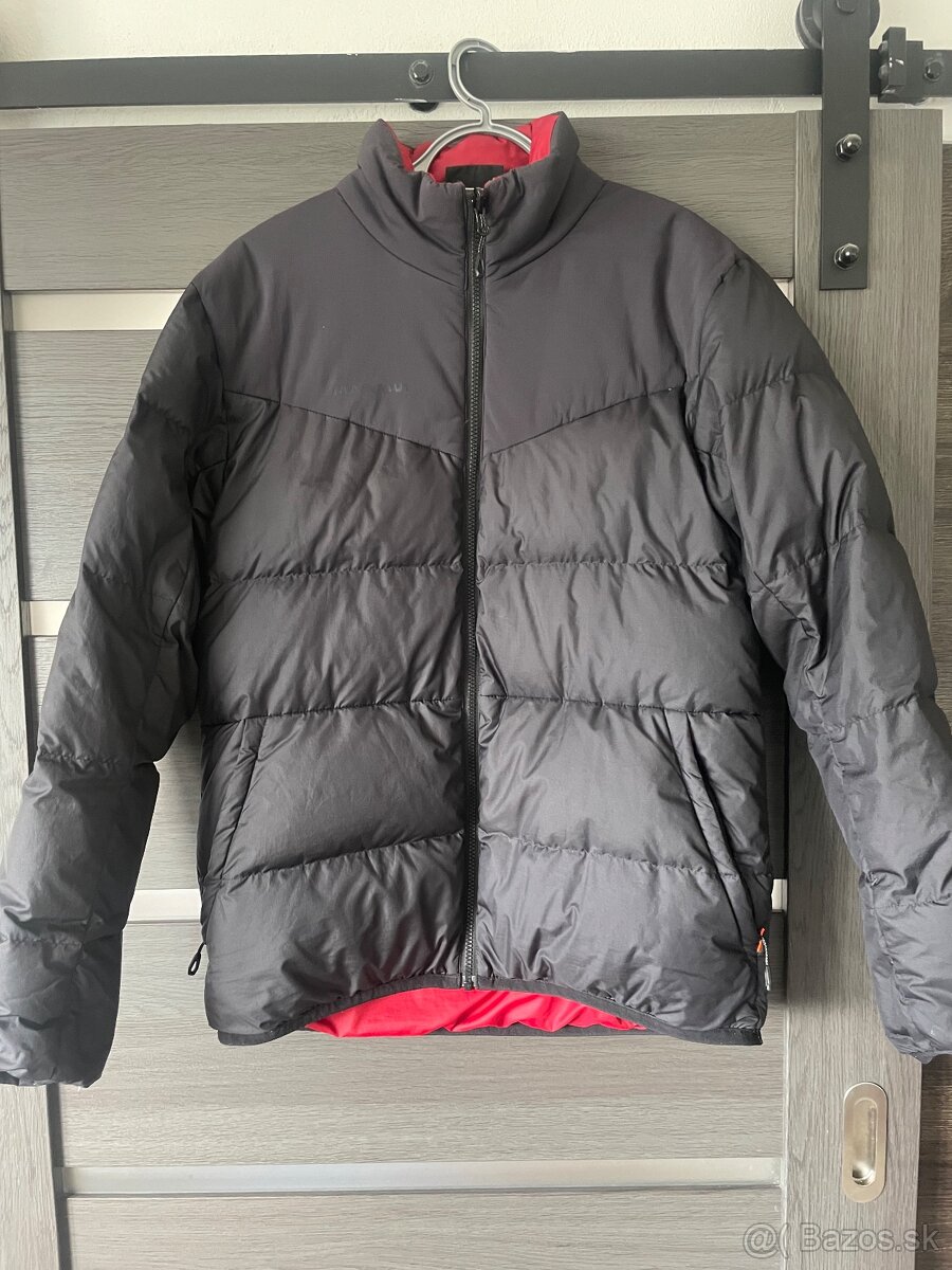 Mammut