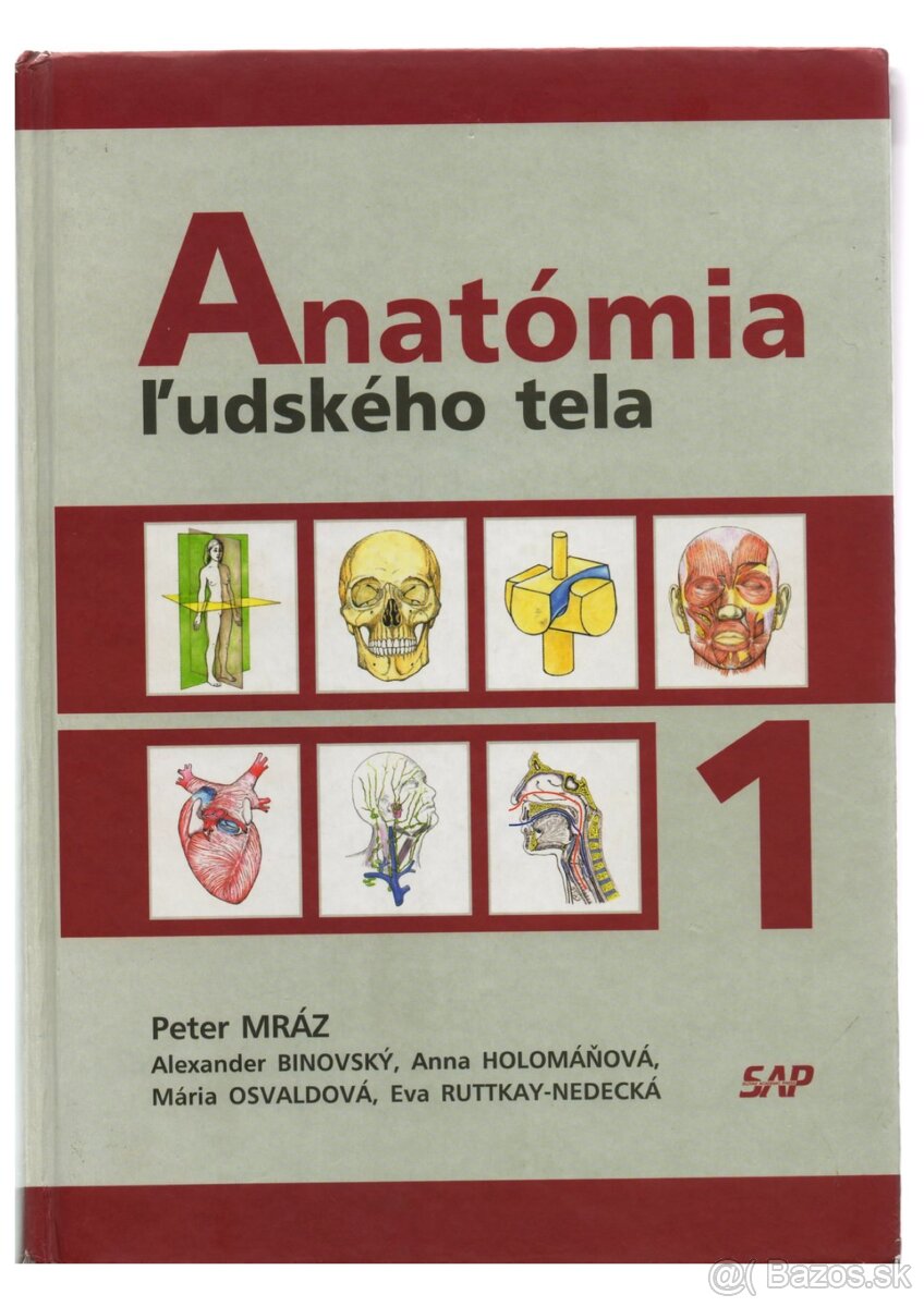 Anatómia 1,2 - Peter Mráz - PDF