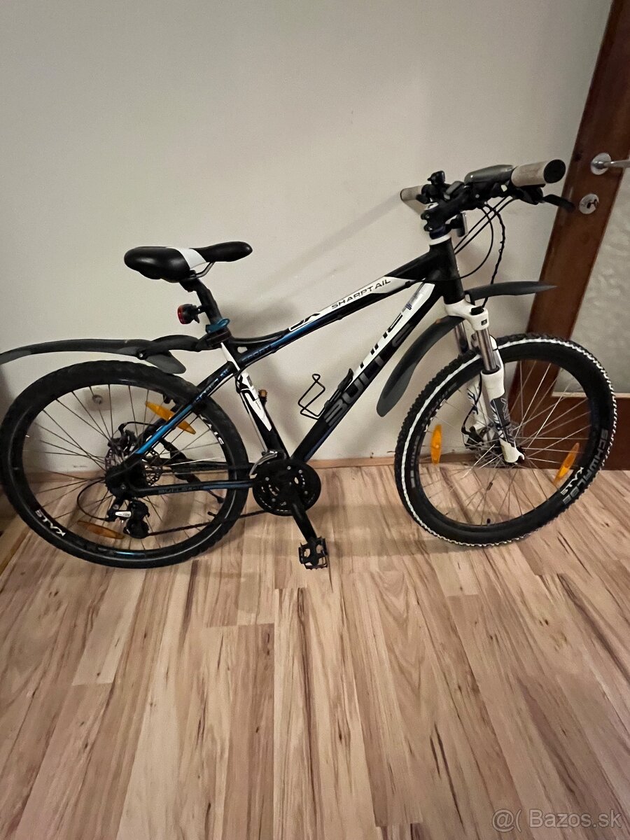 Mtb bulls