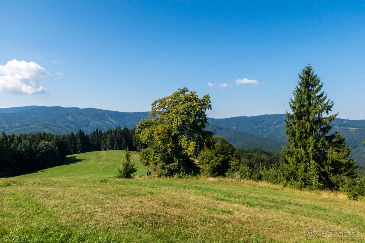 Rudná – 301 m2 POĽNOHOSPODÁRSKA pôda a LESY – PREDAJ