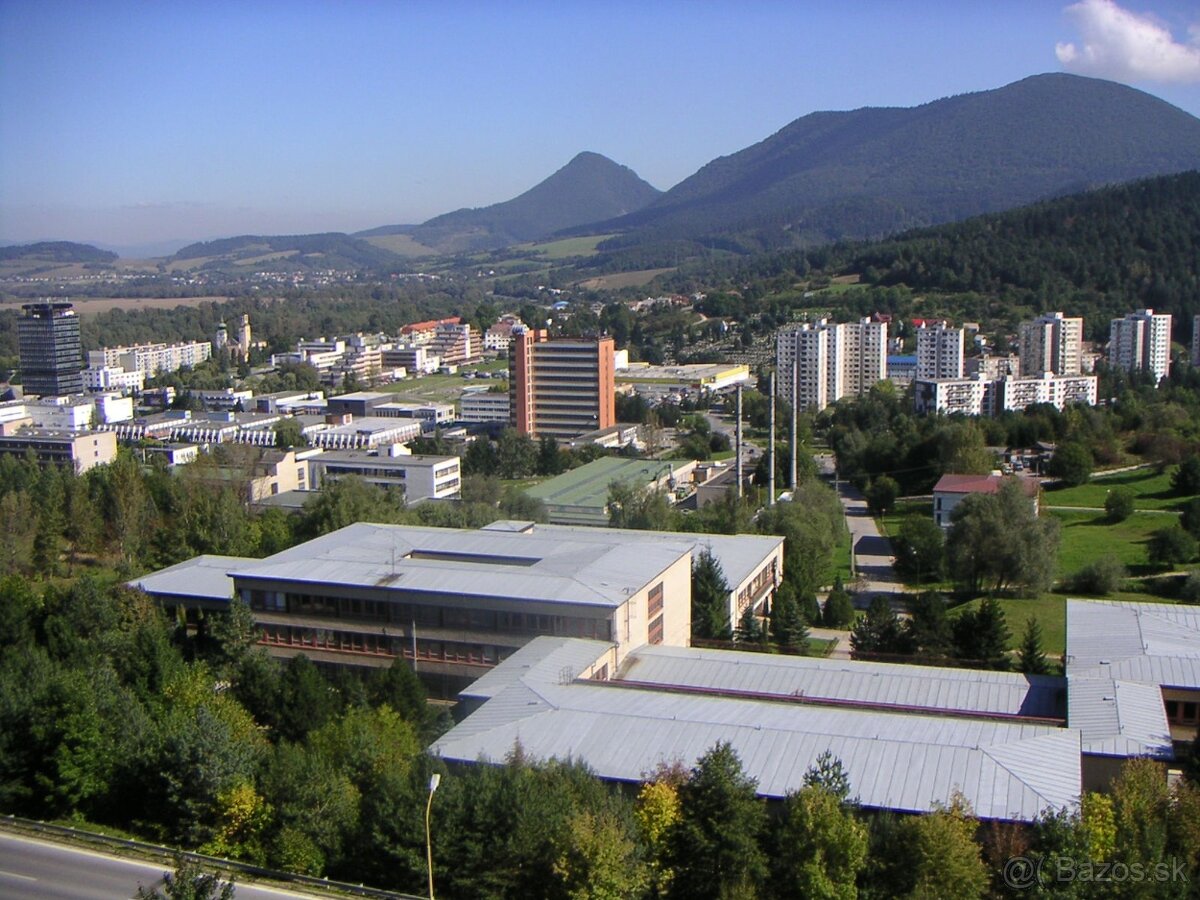 2-izbový alebo 3-izbový byt