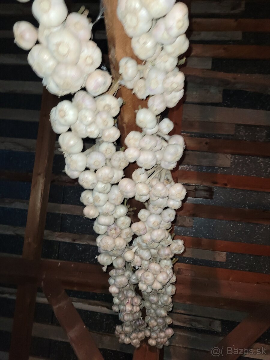 Domaci cesnak