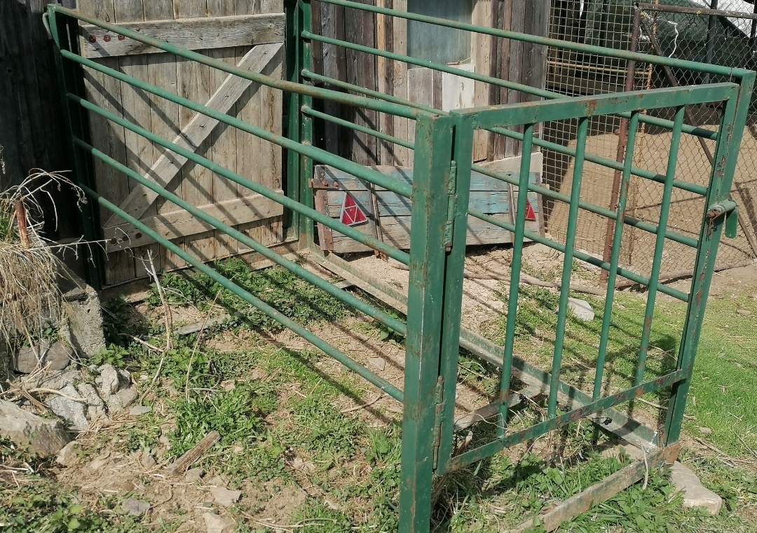 Lada na prepravu ošípaných