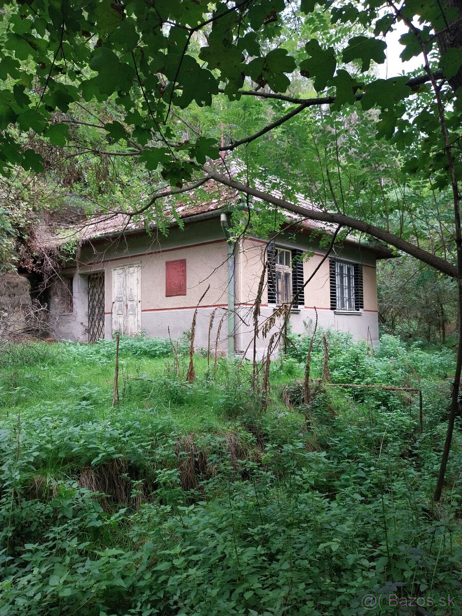 Predaj dom/chalupa na samote v lese