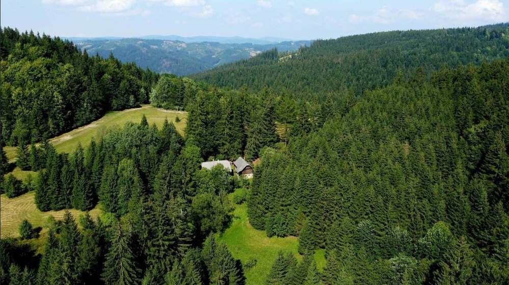 Vysoká nad Kysucou – 24.800 m2 LESNÉ POZEMKY
