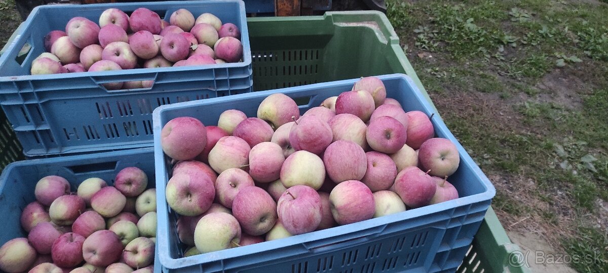 Veľké a krásne jablká