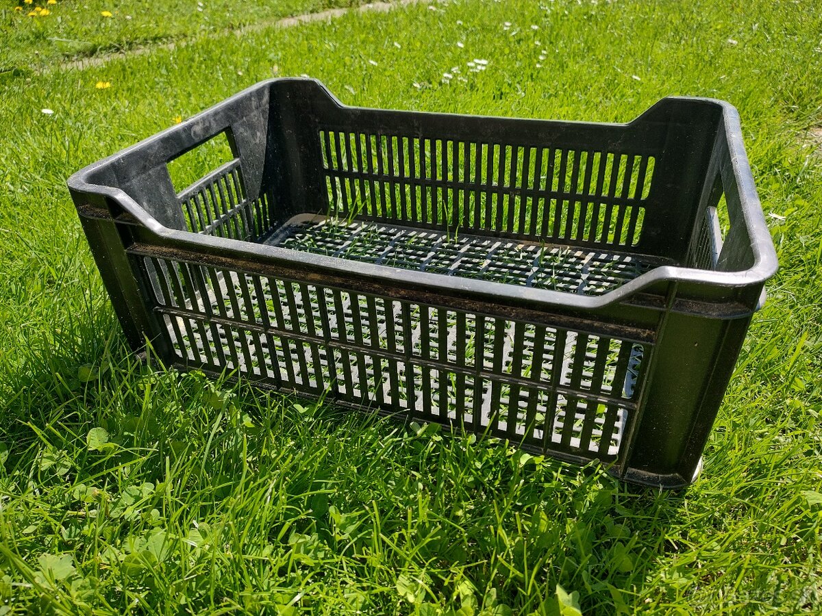 Plastova prepravka na ovocie 25L