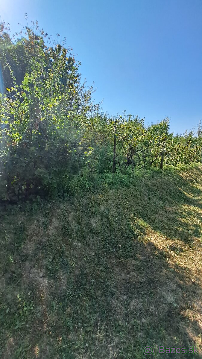 Na predaj pekná záhradka s chatkou