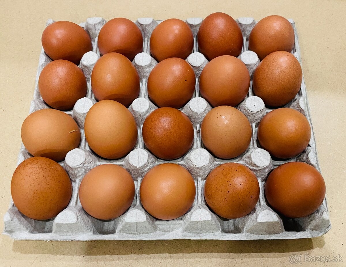 Domáce vajíčka