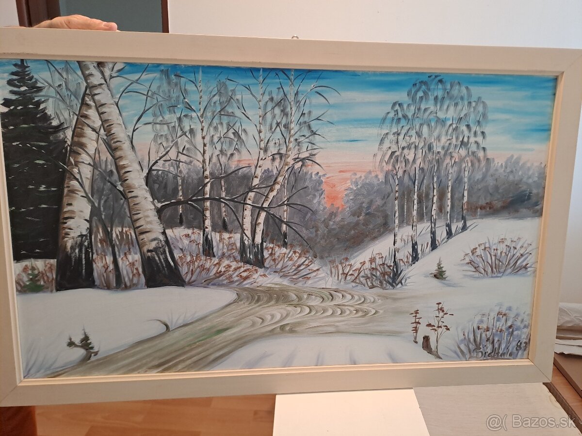 Obraz zimna krajinka