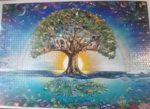 Puzzle - 3000 dielikov
