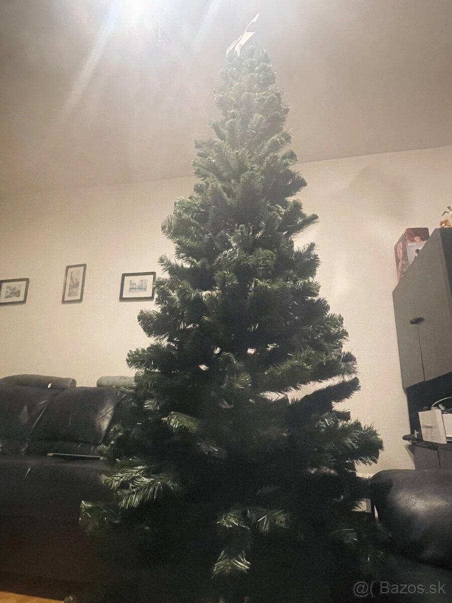 Vianočný stromček 250 cm