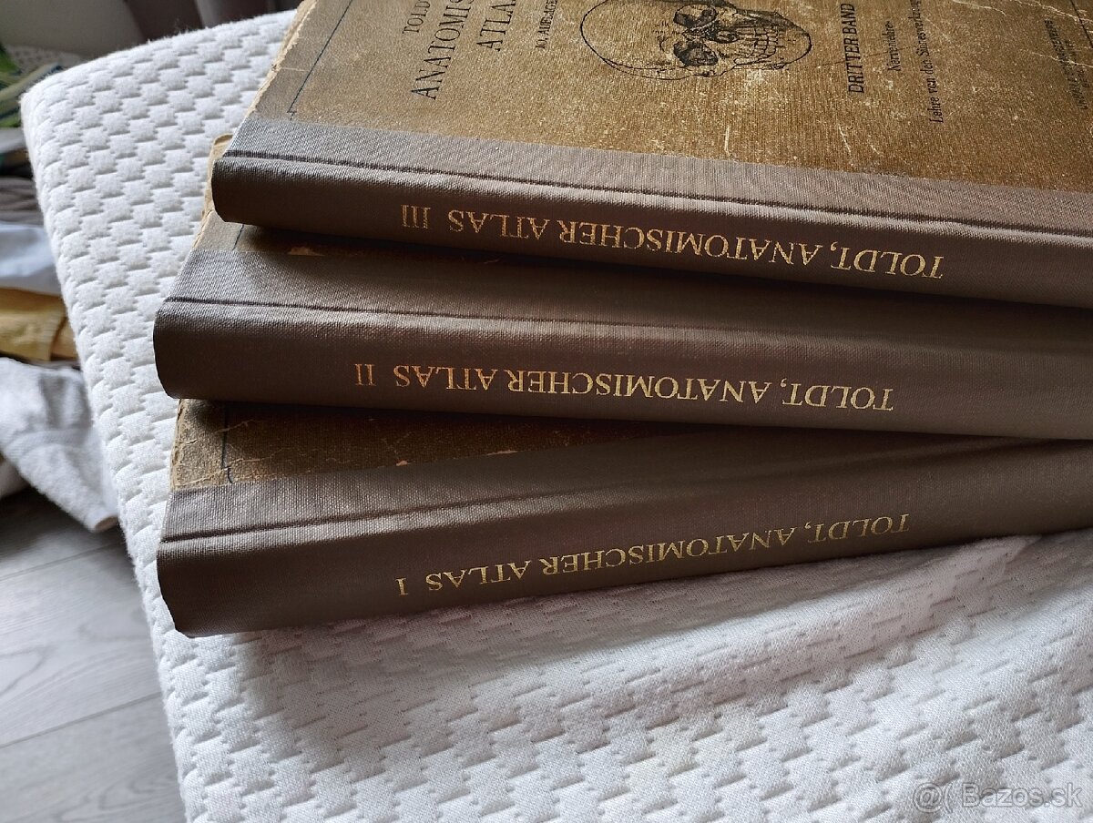 Atlas_Ľudskeho tela_1919