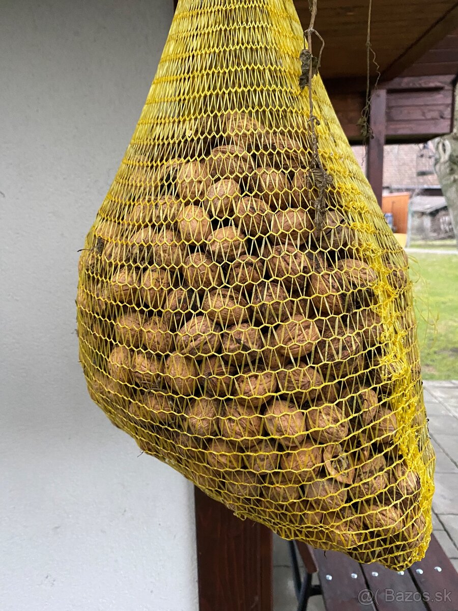 Nelúpané vlašské orechy