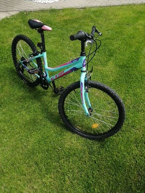 Predám CTM Mony 24"