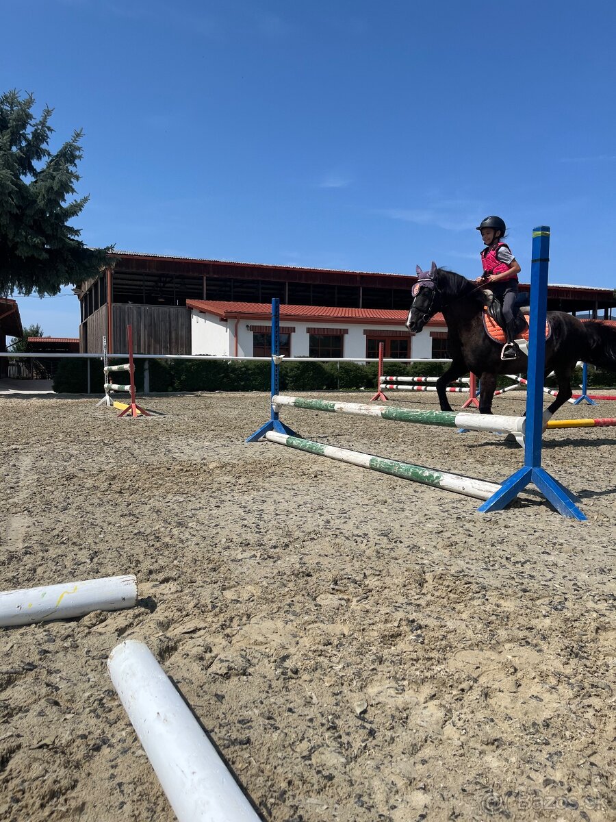 Miliónový pony