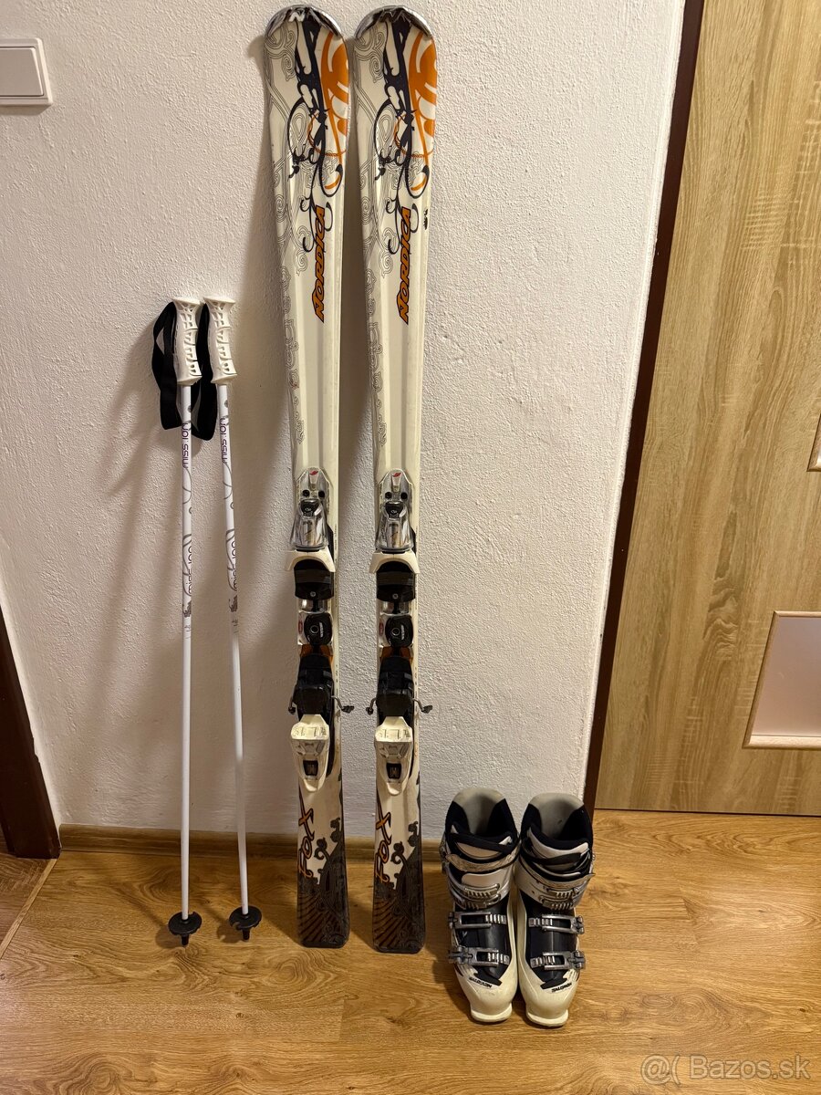 Lyže, lyžiarky, palice