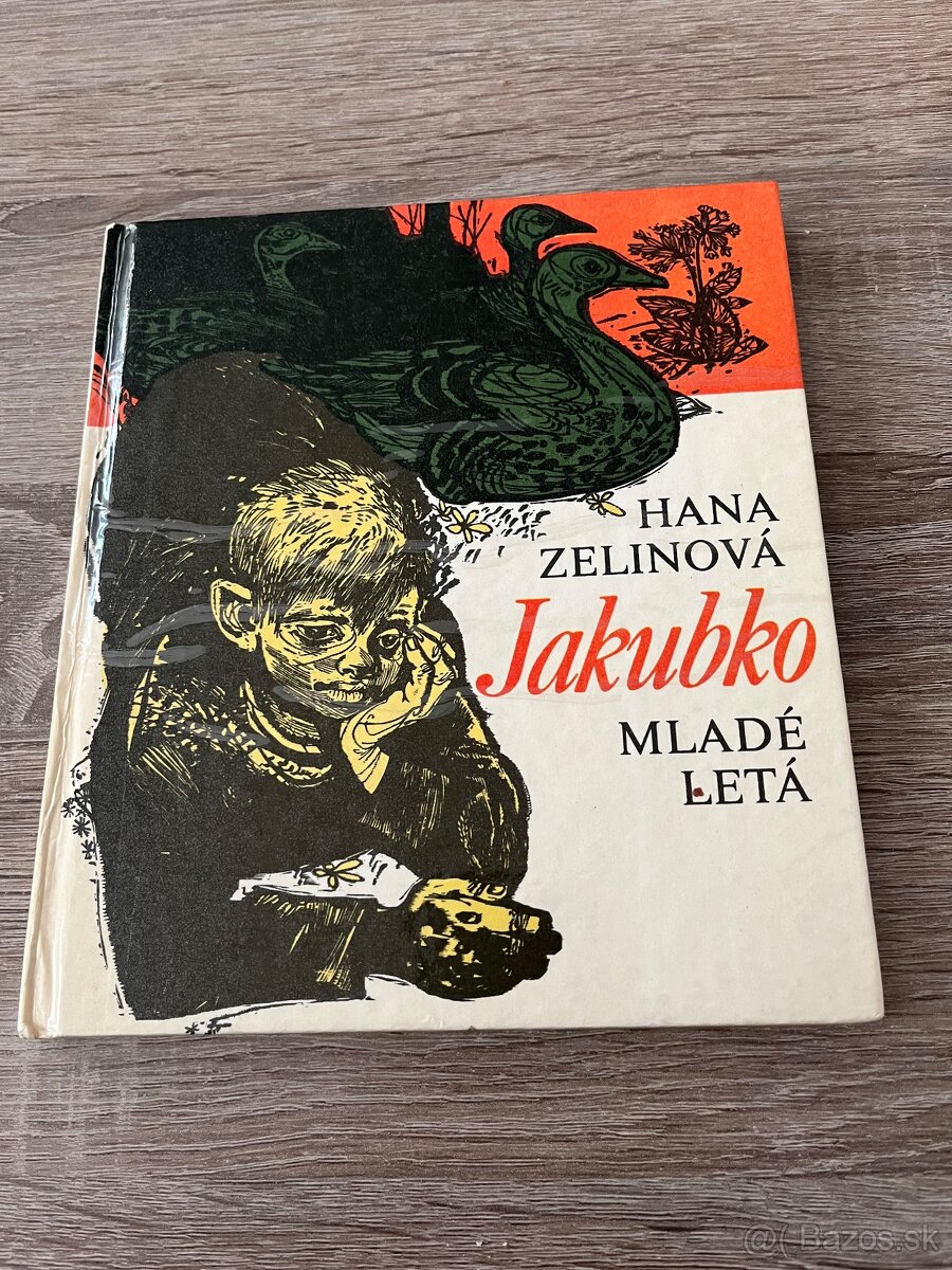 Hana Zelinová Jakubko