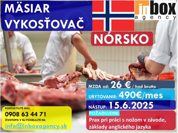 ⭐⭐⭐ NÓRSKO - MÄSIAR NA BRAVČOVINU - 15.6.2025