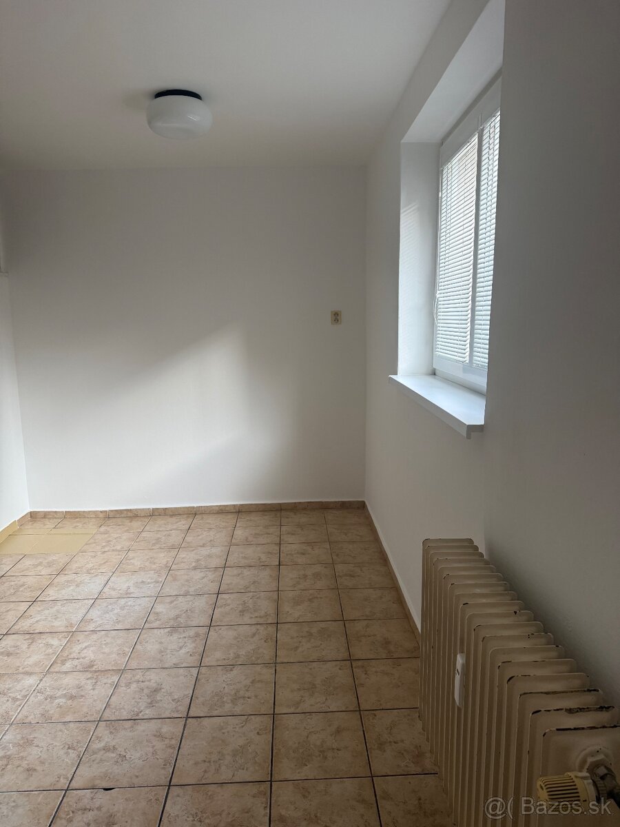 Prenajmem v centre mesta priestor