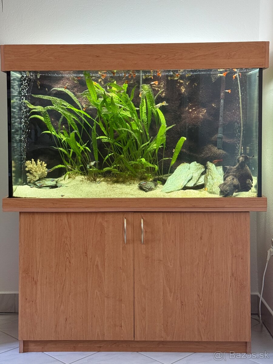Akvarium 420l s komplet prislusenstvom a rybkami
