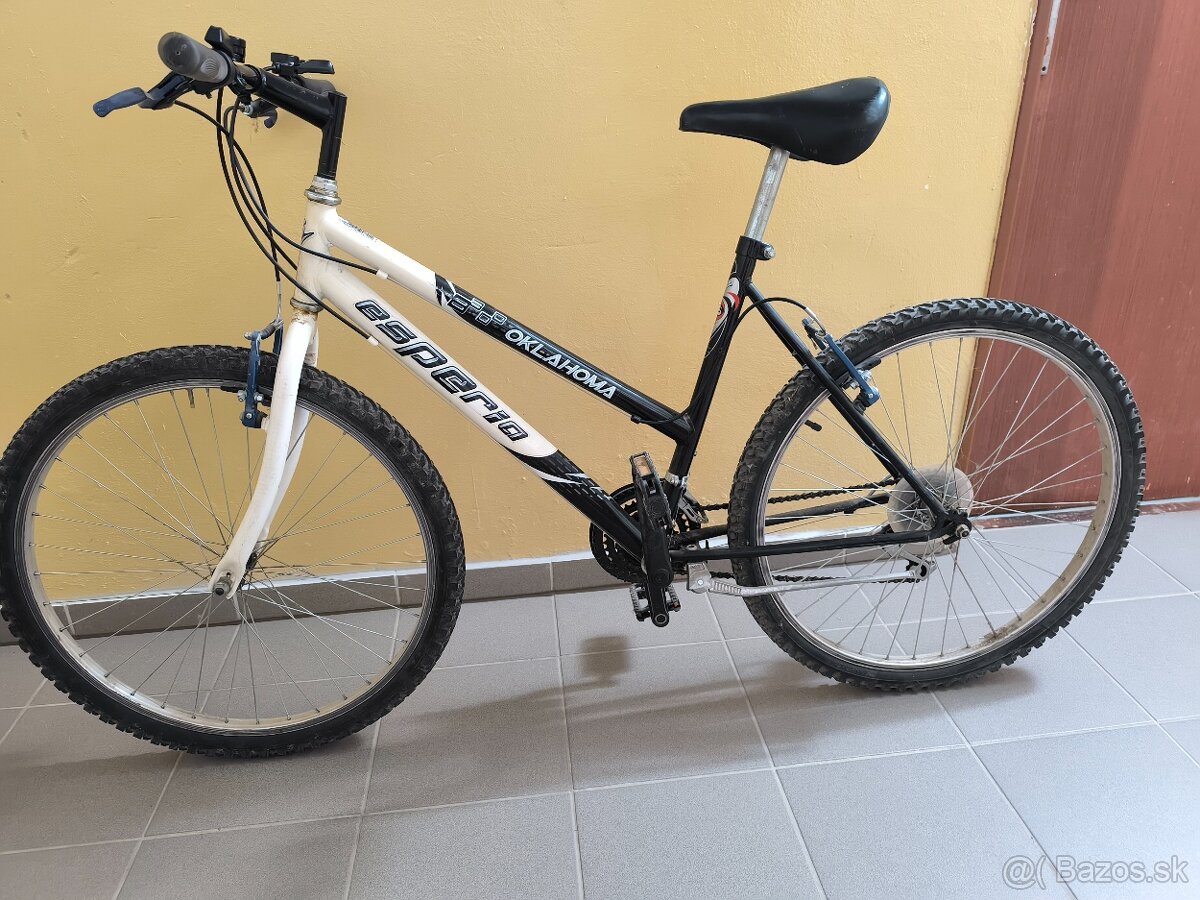 dámsky bicykel