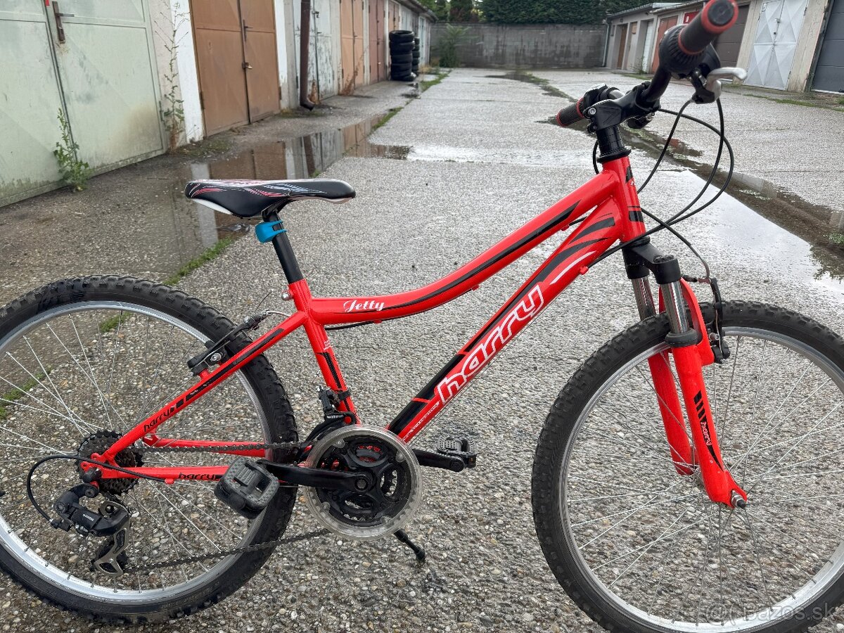 detsky 24 odpruženy