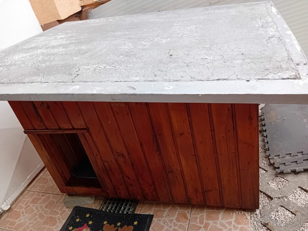 Psia búda