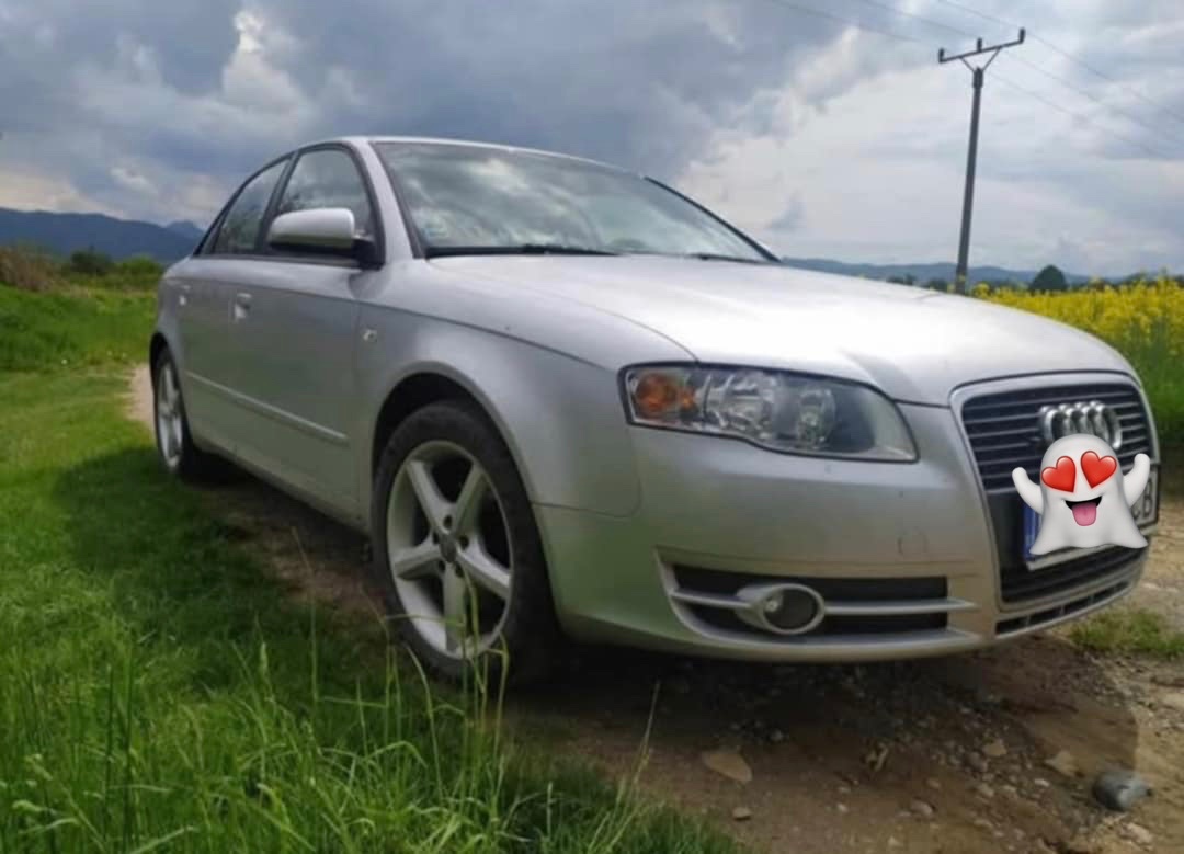 Audi a4 b7 2.0 tdi