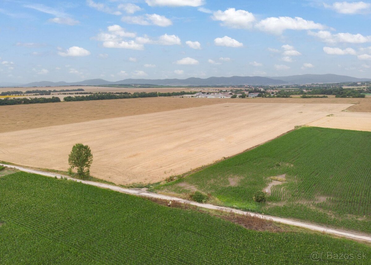 PREDAJ VEĽKÝ POZEMOK - TRNAVA - ZVONČÍN - 147.000 m²