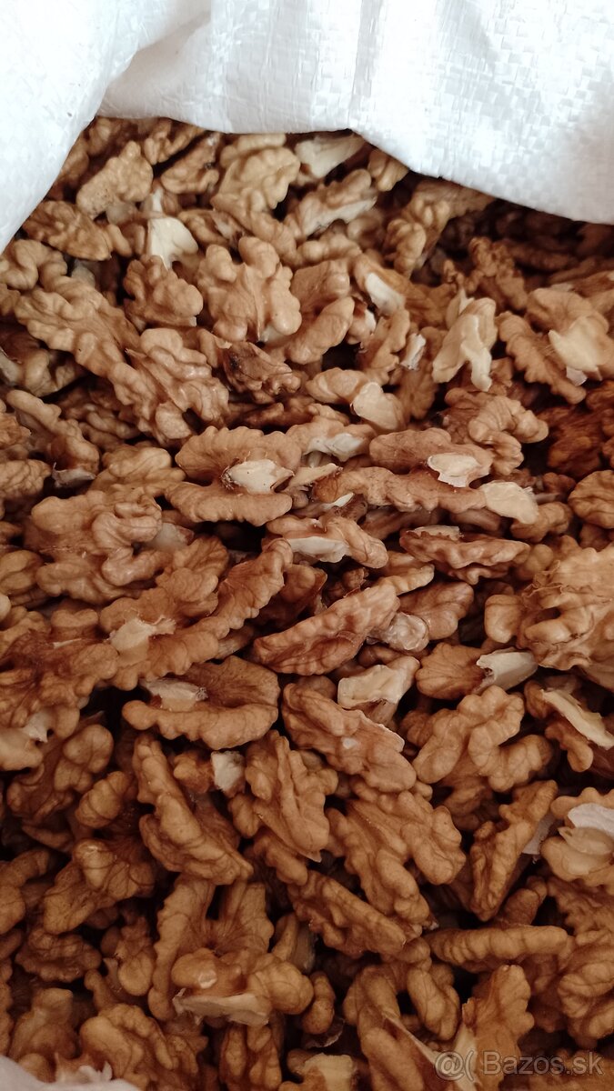 Predám vlašské orechy lupane 9.50€ za kg