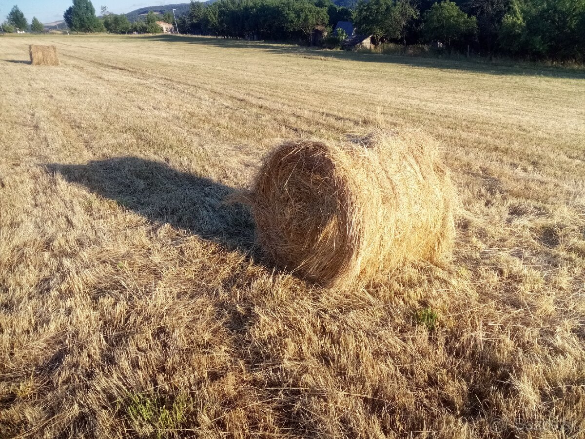 Predám seno