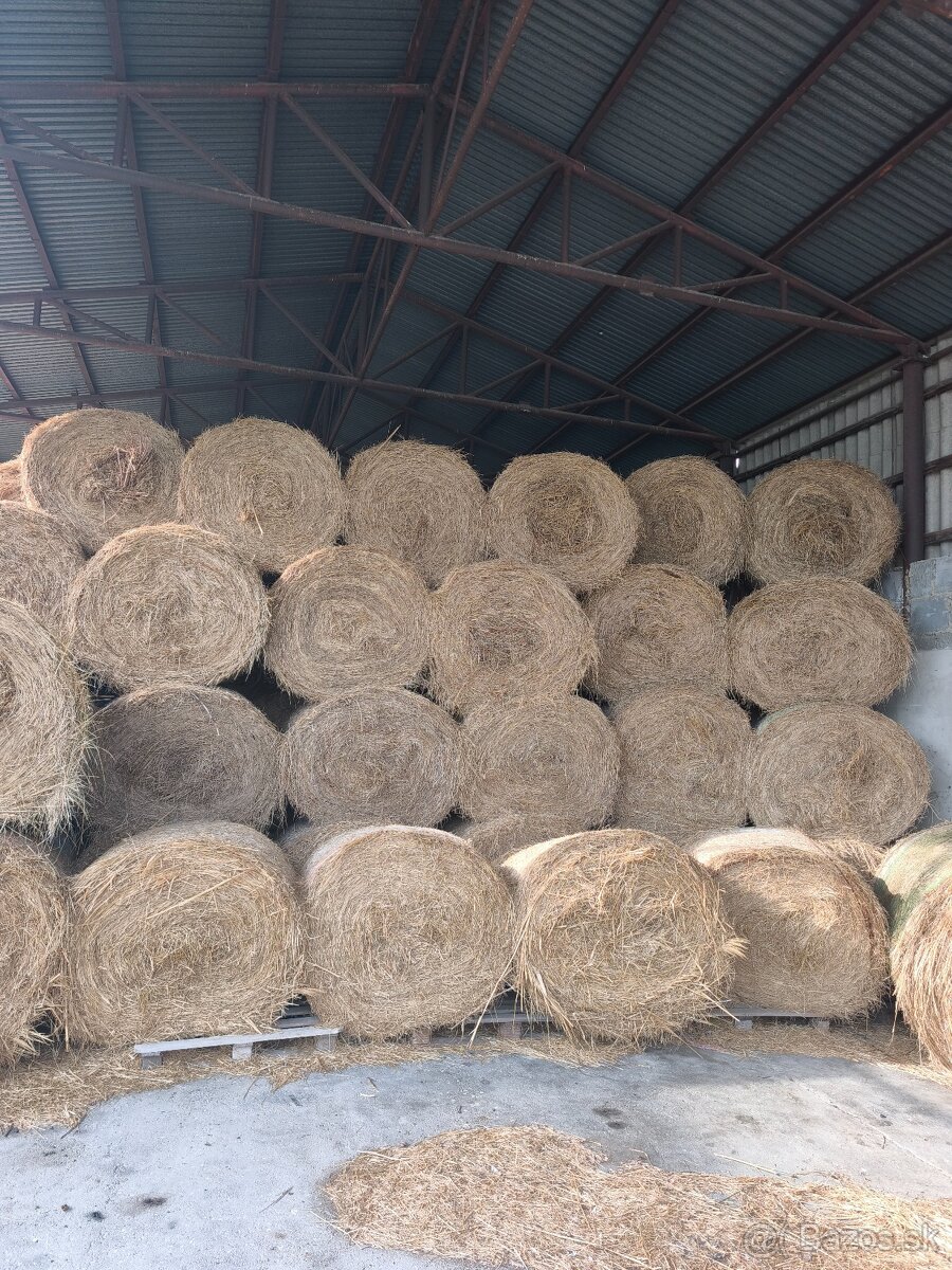 Seno na predaj