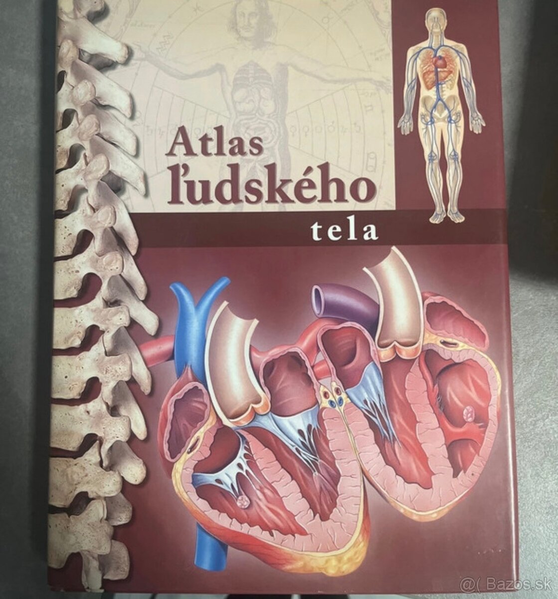 Atlas ľudské telo