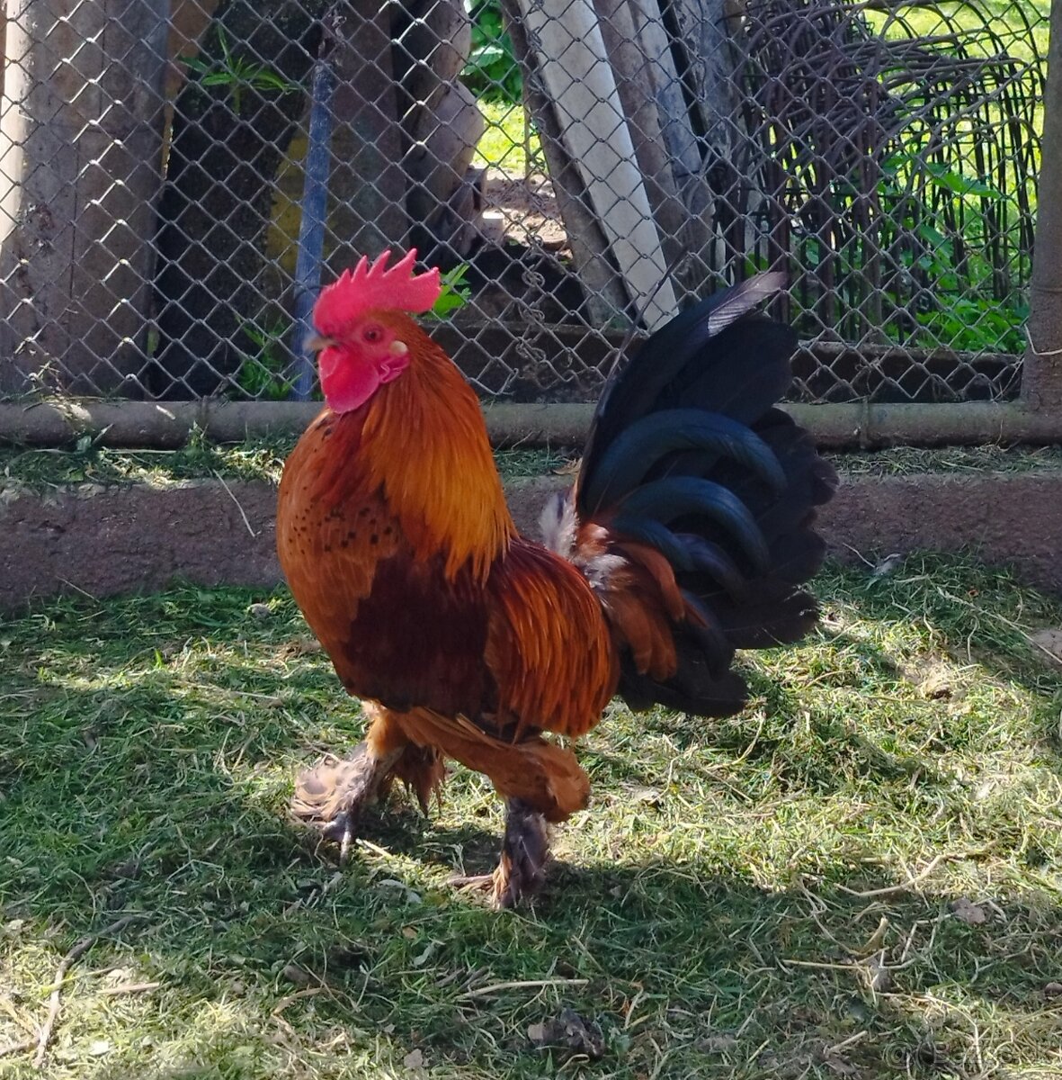 Milflerka