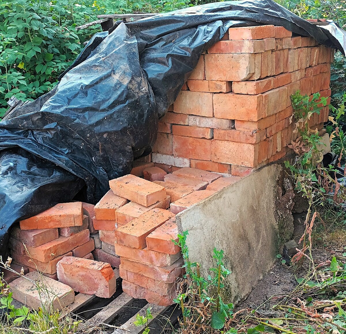 Plná tehla