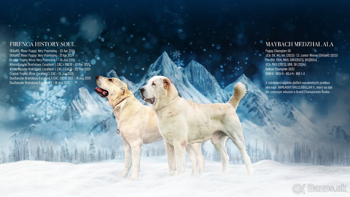 Stredoázijský ovčiak