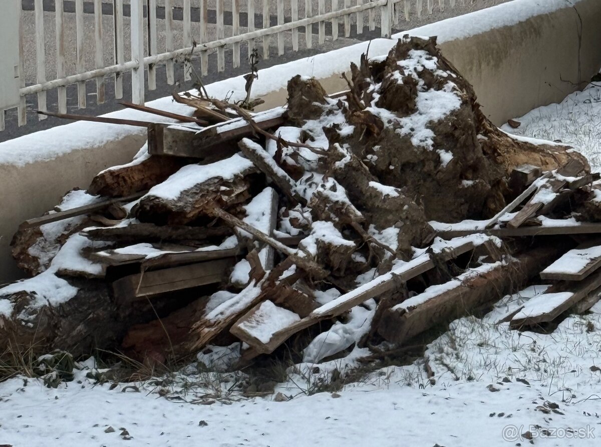 Darujem drevo za odvoz