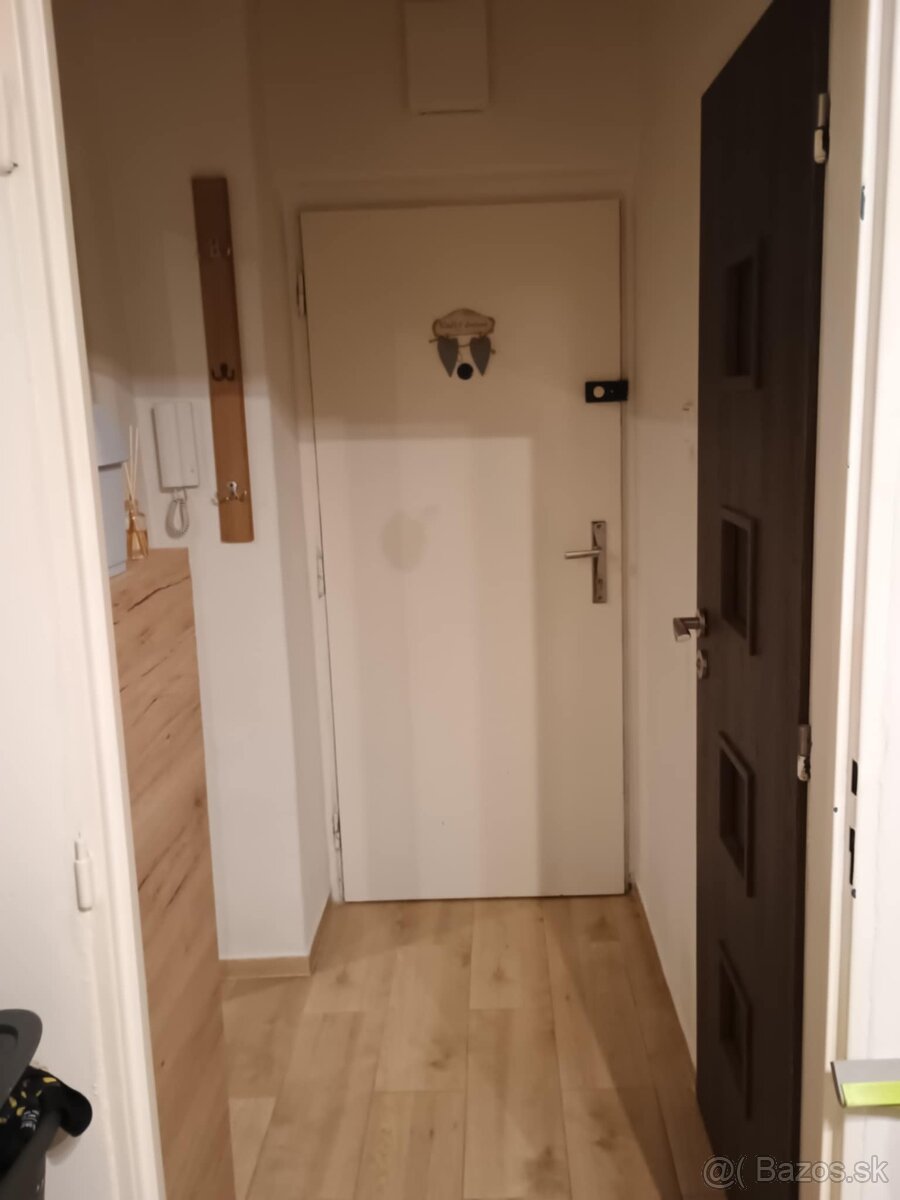 prenájom 1izbového bytu