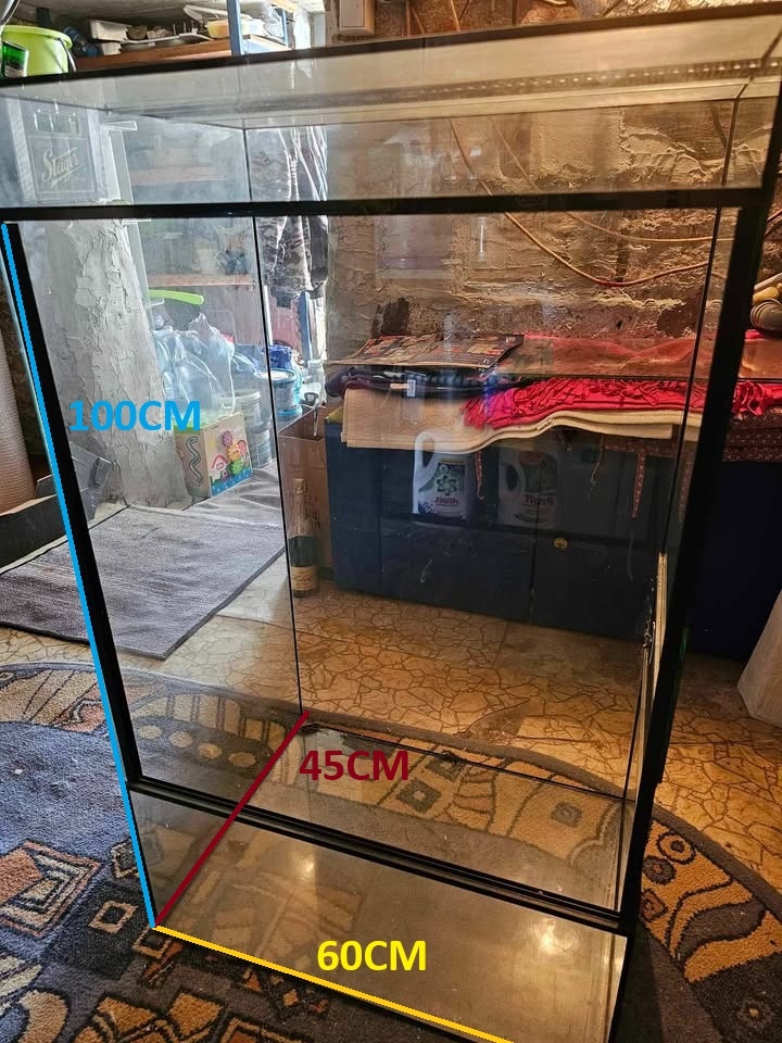 Predam Terarium