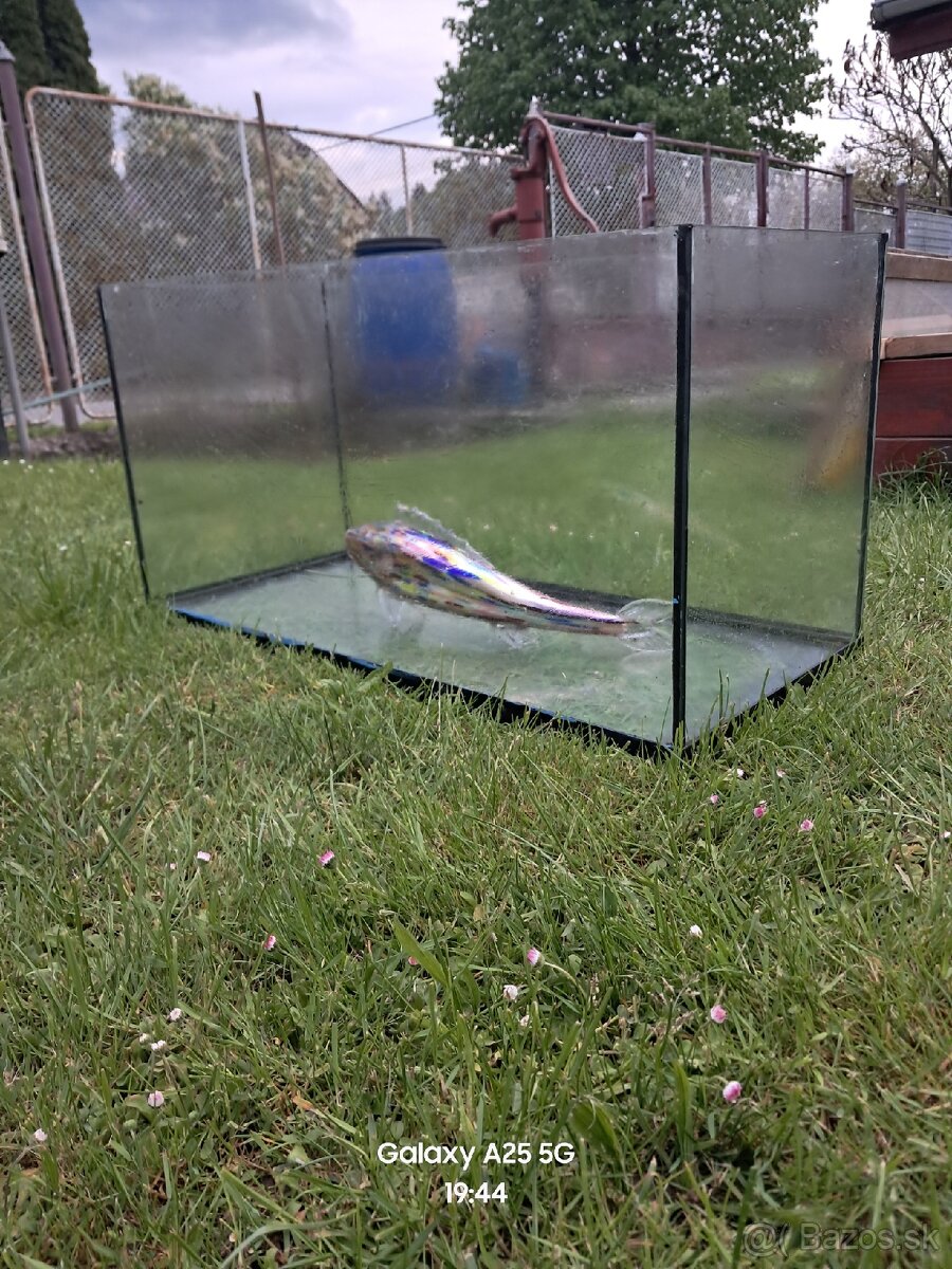 Akvarium