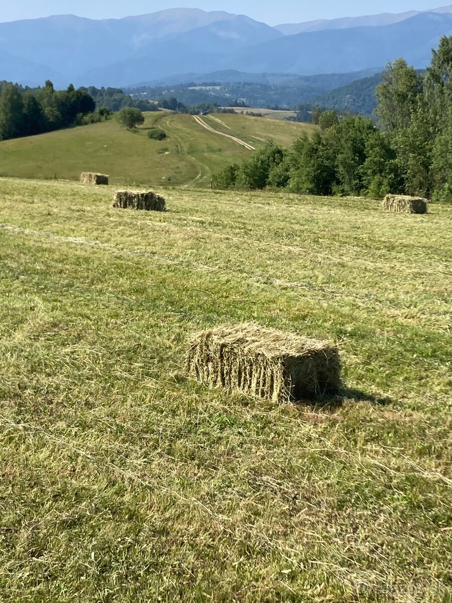 Seno malé balíky