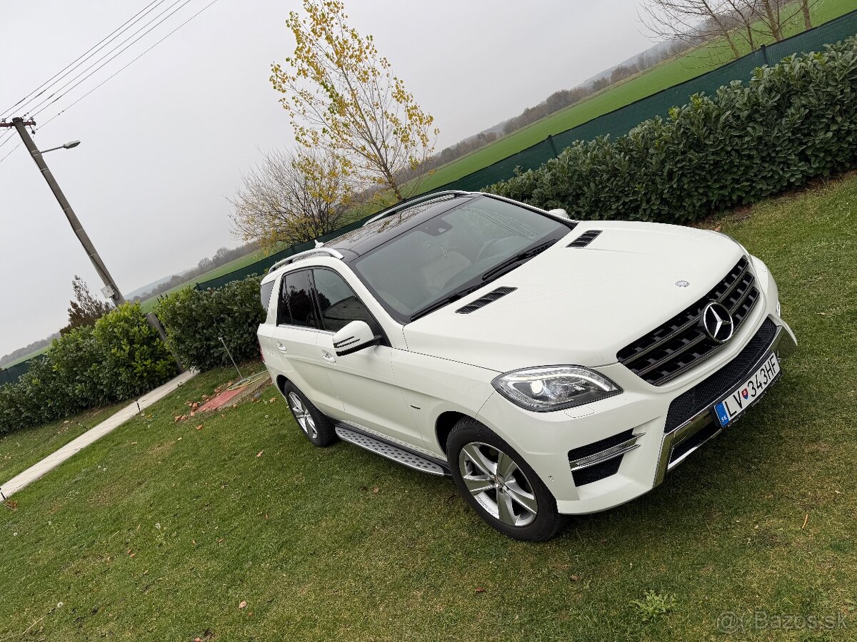 Mercedes Benz ML 250 4MATIC