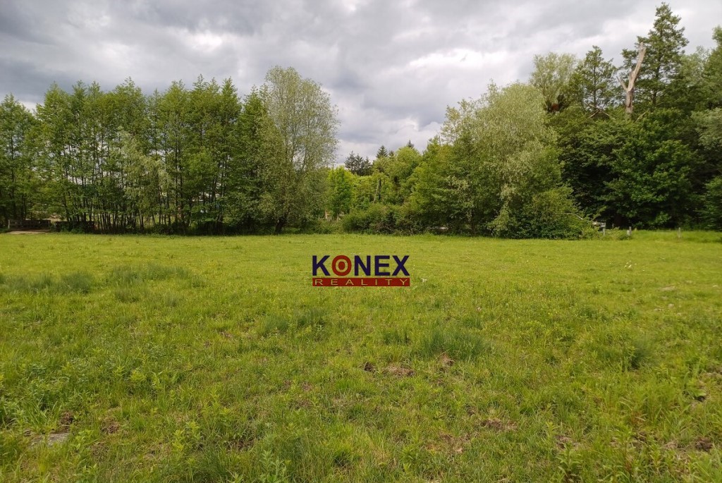 Na predaj rozľahlý pozemok PTIČIE – blízko Humenného