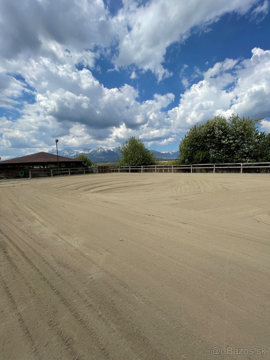 Stajník a ošetrovateľ koní