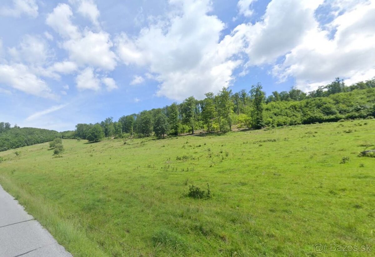 Zvolen, Kráľová – nádherný slnečný pozemok 26343 m2 – predaj