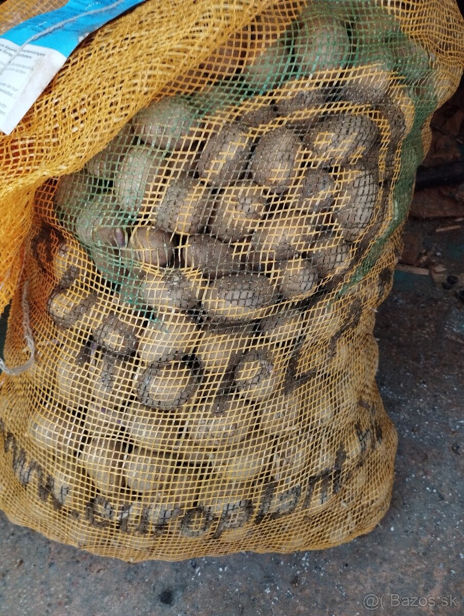 Sadbovè zemiaky
